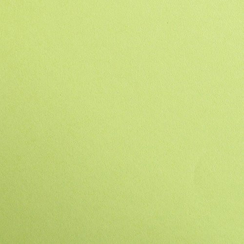 Clairefontaine 97152C Tonzeichenpapier Pack, 25 Bögen Premium, 50 x 70 cm, 120 g, mossgrün