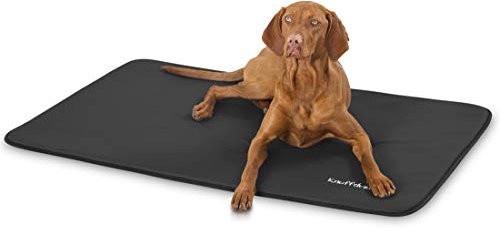 Knuffelwuff Kunstleder Hundematte Cheyenne XXL 120 x 80cm Schwarz - Hundekissen für große, mittelgroße und kleine Hunde - Für Zuhause, Auto, Wohnmobil, Wohnwagen