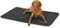Knuffelwuff Kunstleder Hundematte Cheyenne XXL 120 x 80cm Schwarz - Hundekissen für große, mittelgroße und kleine Hunde - Für Zuhause, Auto, Wohnmobil, Wohnwagen