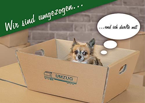 10 Stück Postkarten wir sind umgezogen Hund im Umzugskarton 1208