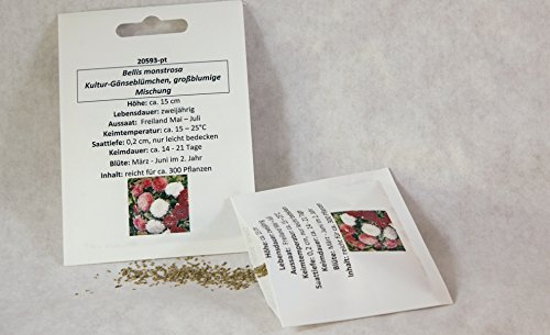 Kultur-Gänseblümchen großblumige Blumenmischung Gänseblümchensamen Blumenwiese Rasen Gänseblümchensaat für ca. 300 Pfl.