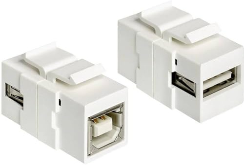 Delock Keystone USB2.0 A Buchse > USB2.0 B Buchse beidseitig einbaubar, 86320, weiß
