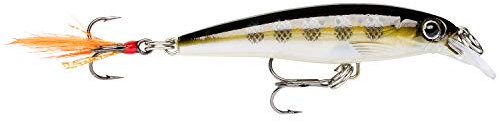 Rapala - X-Rap Angelköder - Angelzubehör mit 3D-Profil - Süßwasser Spinnköder - Schwanzfedern für zusätzliche Reize - Lauftiefe 0.9-1.5m - Fischköder 6cm, 4g - Hergestellt in Estland - Muddler