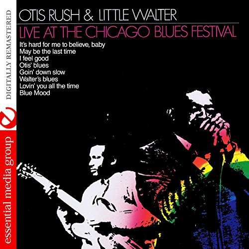 Live at Chicago Blues Festival
