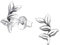 Laimons Damen-Ohrstecker Blatt Zweig design glanz Sterling Silber 925