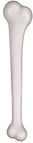 Widmann 2312C Riesen Knochen , Weiß, 22 cm