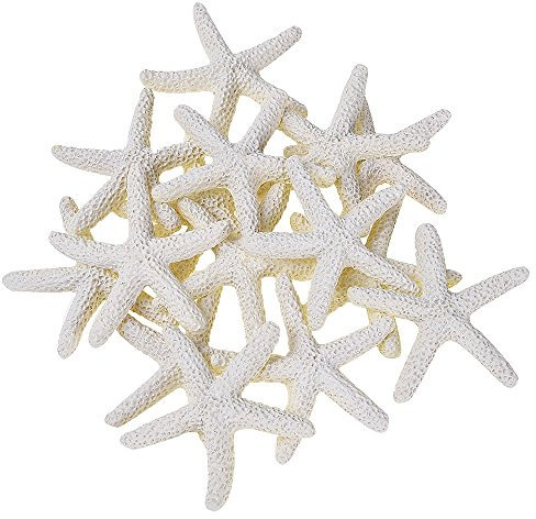 15 Pezzi Beige Matita Finger Starfish per Wedding Decor, Home Decor e Progetto Artigianale, 2.3 Pollici