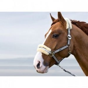 Halfter Classic Sport mit Lammfell und Schiebeschnalle