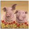 ARTLAND Wanddeko Leinwand Bilder Wandbild 50 x 50 cm Tiere Haustiere Schwein Malerei Creme A1SE Schweine