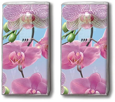 20 Taschentücher (2x 10) Bright Orchid – Schillernde Orchidee / Blumen / Motivtaschentücher