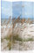 Feeby Paravent Gras Strand Meer 110x180 cm 3 Teilig Modern Design einseitig Raumteiler Wandschirme Foto Trennwand Raumtrenner Sichtschutz Spanische Wand auf Leinwand Bedruckt Weiß Blau