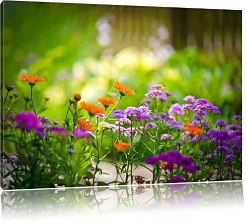 Pixxprint Blumenwiese, Größe: 120x80cm, Leinwandbild, fertig gespannt, Wandbild, Dekoration, Kunstdruck, kein Poster