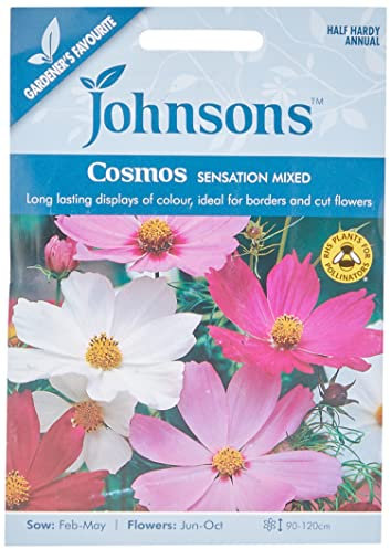 Johnsons 24163 Flower Seeds, Cosmos Sensation Mixed
