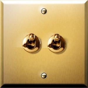 Arnould 67202 Art Univers Mémoire Double Va et Vient ou Interrupteur à Levier, 10A, Or Brossé