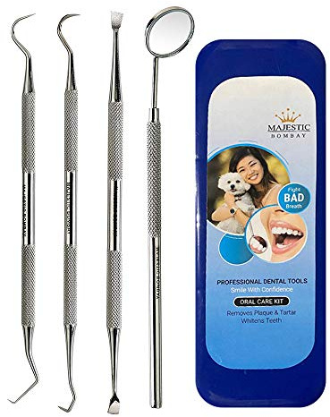 Dental Hygiene Tool Set - Stainless Steel Dental Tooth Pick, Mouth Mirror,Tarter Scraper and Plaque Remover - Dental Tool Kit is Ideal for Cleaning Use & Pet Friendly-Free Protective Case