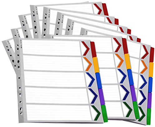 Rexel Mylar A4+ Extra Wide Divider - White/Multicolour (Pack of 10)