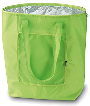 eBuyGB Folding Cooler Bag, Polyester, Green, 21.59 x 11.99 x 4.59 cm