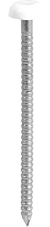 TIMCO PN65W Polymer Headed Nail 65mm - White (Box of 100)