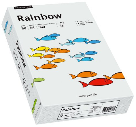 Papyrus 88042783 Drucker-/Kopierpapier bunt, Bastelpapier: Rainbow 80 g/m², A4 500 Blatt, Matt, Hellgrau