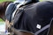 Tysons Breeches Nierendecke Glitzer Schwarz o Weinrot VB WB Decke zum Warmreiten Abschwitz (P/VB, Schwarz)