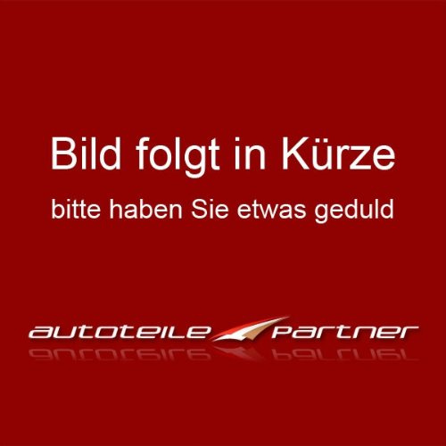 DAPA GmbH & Co. KG 175265009 Reflektor