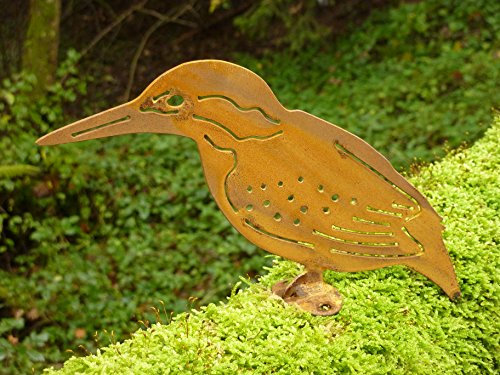 Albert Hechinger Edelrost Eisvogel Vogel