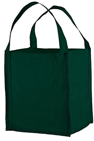MINI BIG BAG grün, TRAGKRAFT 300 KG 40 x 40 x 45 cm, 2 SCHLAUFEN