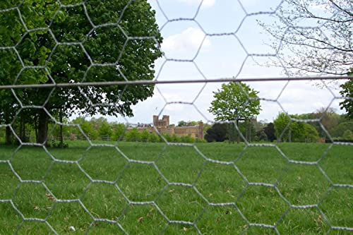 F&G Supplies 25m roll of 1.8cm (6ft) tall 50mm galvanised wire mesh - chicken wire