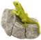 Top Collection Miniatur-Fairy Garden und Terrarium Leguan auf Rock Statue