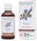 Bourgeons bio Figuier - Ficus carica