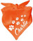 Hunde Dreiecks Halstuch (Fb: orange) (Gr. 1 (55 cm)) Name des Hundes