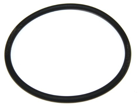 Bauknecht Geschirrspüler O-Ring-Dichtung. Original-Teilenummer 481253058141 C00311339