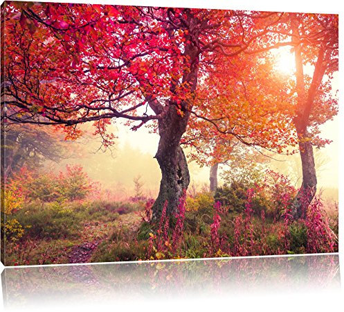 Pixxprint Traumhafte Herbstlandschaft, Größe: 80x60cm, Leinwandbild, fertig gespannt, Wandbild, Dekoration, Kunstdruck, kein Poster