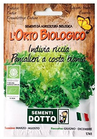 Semi Biologici di Indivia Riccia Pancalieri