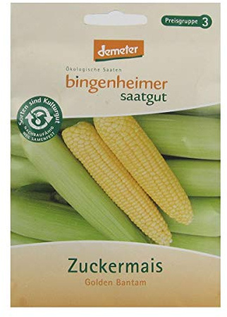 Bingenheimer Saatgut - Zuckermais Golden Bantam - Gemüse Saatgut / Samen