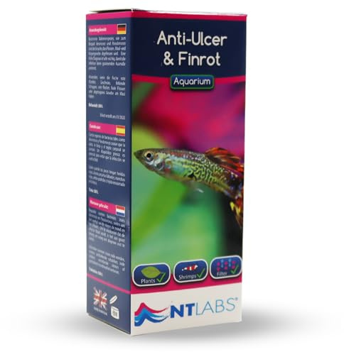 NT Labs Aquarium Anti-Ulcer & Finrot Treatment (100ml Treats 500L) | Treats red wounds, mouth rot, ulcers & torn fins. Shrimp-safe broad spectrum antibacterial formula. Harmless to filters.