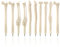 10pcs Neuheit Knochen Design Ballpiont Kugelschreiber mit schwarzer Tinte, für Künstler, Schule, Büro