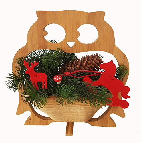 Cesta de Frutas Búho Cárabo Común - Hermosa Plegable Bambú 30 X 30cm Madera Cuenco Frutero Decoración Cajón Verduras Plato Fruta,Ideal También como Platillo para Ollas,Sartenes Etc. por la Técnica