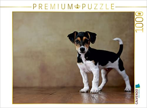CALVENDO Puzzle LIU - Jack Russell Terrier, 10 Wochen | 1000 Teile Lege-Größe 64 x 48 cm Foto-Puzzle für glückliche Stunden