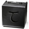 Tanglewood Amplificador de guitarra acústica T6