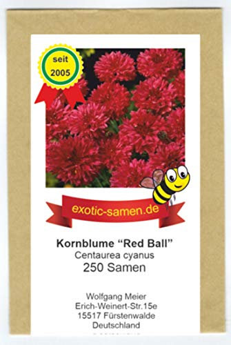 Centaurea cyanus - Bienenweide - Rote Kornblume Red Ball - 250 Samen