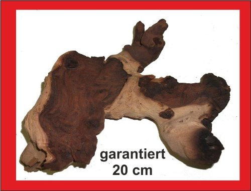 SAHAWA® Mopani- Wurzel, garantiert 20cm, Aquarium, Terrarium