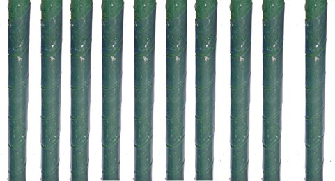 EXCOLO Baumschutz Spiralen 10 Stück | Stammschutz für Junge Bäume | Schutz vor Wildverbiss & Fraßschäden | Transparent, gelocht, witterungsbeständig | 60cm Spirale aus PET-Folie
