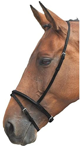 Shires Flash Nosebands Blenheim