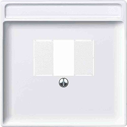 Merten Zentralplatte für TAE/Audio/USB, System Fläche, polarweiß, 297819