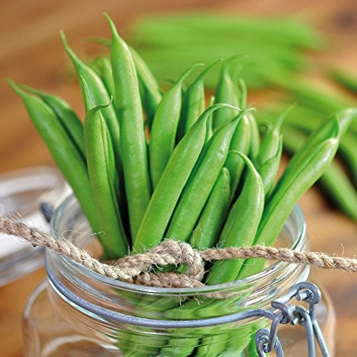 Stangenbohnen, 'Matilda'