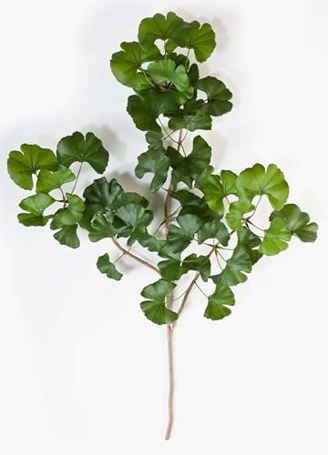 artplants.de Deko Ginkgo Sweet Zweig, 50 Blätter, grün, 60cm - Kunstzweig - Künstliche Blätter