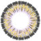 Matlens – EOS Farbige Kontaktlinsen mit Stärke grau gray Big eyes Cats eyes circle lenses 2 Linsen 1 Kontaktlinsenbehälter 1 Pflegemittel 50ml