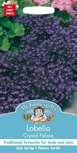 Mr. Fothergill's Lobelia Crystal Palace Flower Seeds
