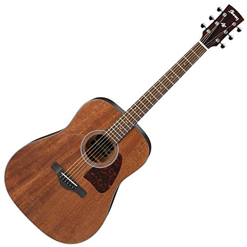 Ibanez Artwood AW54-OPN Open Pore Natural